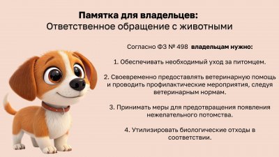 ������� ��� ����������: ������������� ��������� � ���������