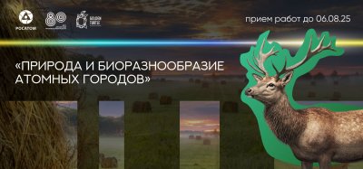 ������� � �������� �������� ��������� ����������� �������� � ��������������� ������� �������